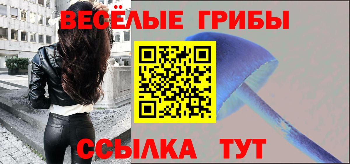 Псилоцибиновые грибы прущие грибы Зеленодольск